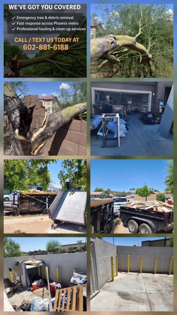A collage of images showing various trees being cut down in different locations and settings.